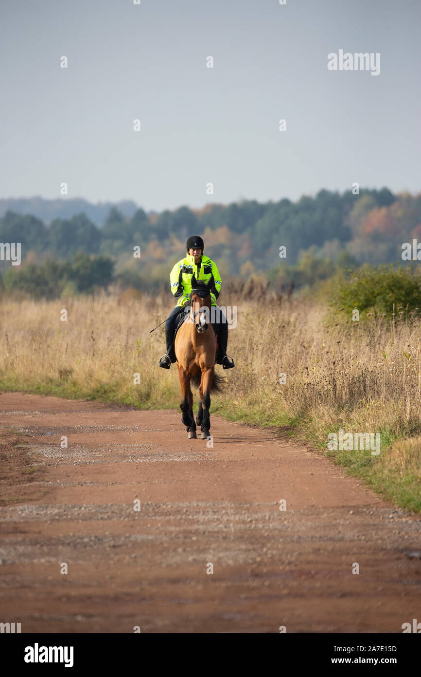 Dame in Gut sichtbare Kleidung ein Pferd reiten auf einem Pfad in einem Land Park Stockfoto