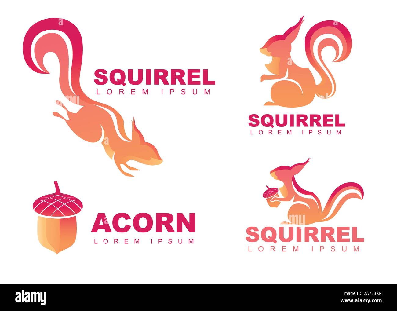 Satz von Eichhörnchen vektor Logo Design Eichhörnchen mit Eichel flachbild Vector Illustration auf weißem Hintergrund. Stock Vektor
