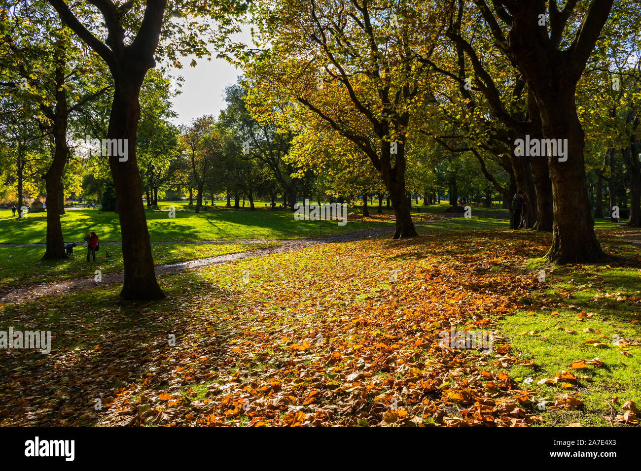 Herbstfarben in der Whitworth Park, Oxford Road, Manchester, England, Großbritannien Stockfoto