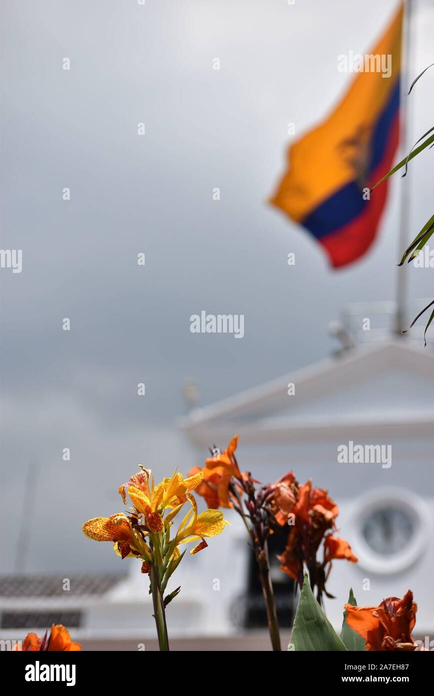 Ecuador-Flagge Stockfoto
