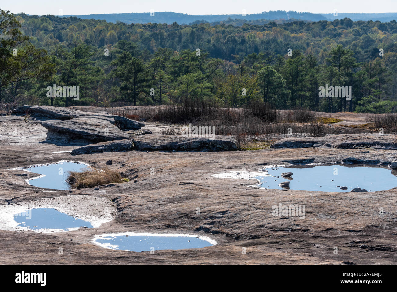 Regenwasser Pools auf dem Granit Landschaft in Arabien Mountain National Heritage Area in der Nähe von Atlanta, Georgia. (USA) Stockfoto