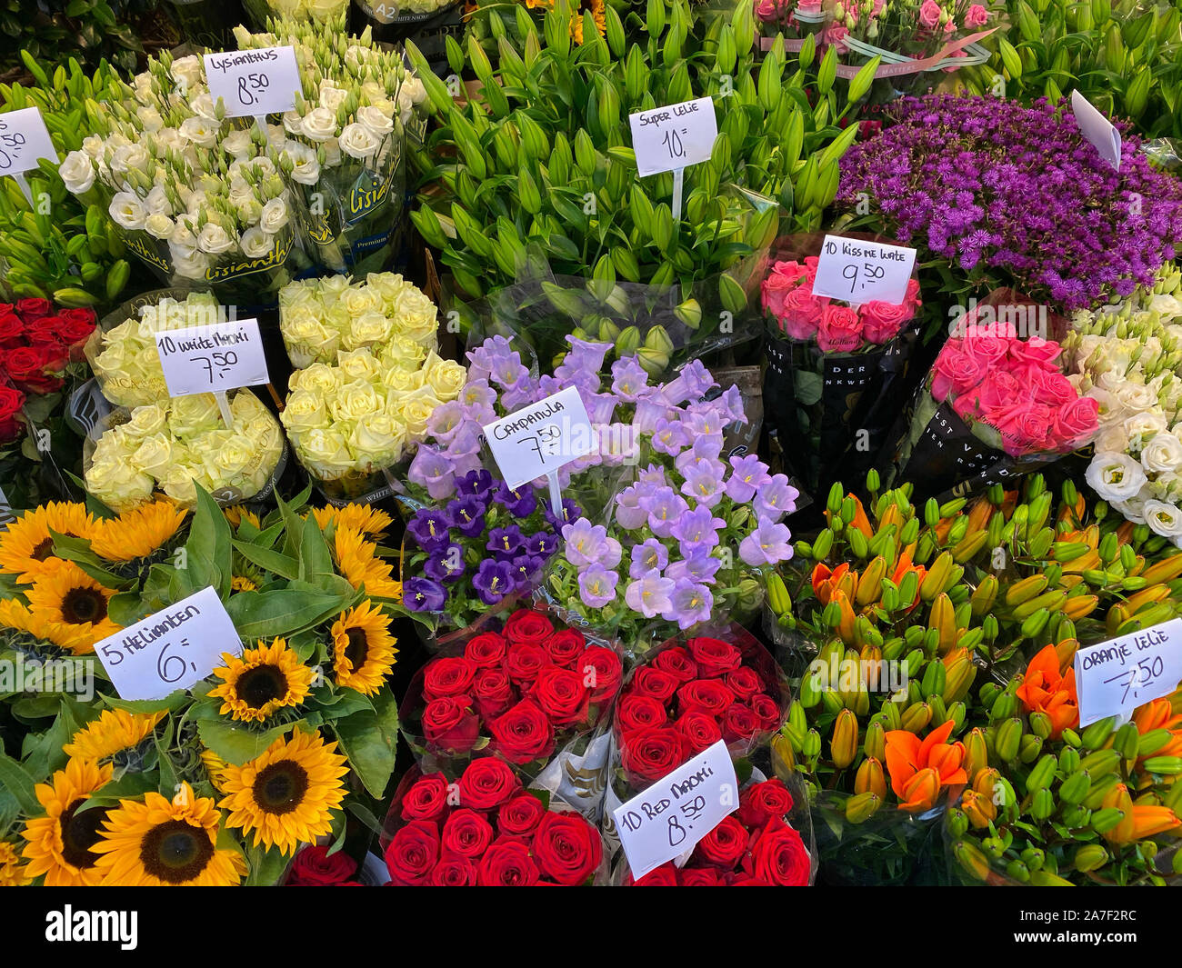 Blumenmarkt in Amsterdam. Er ist der einzige schwimmende Blumenmarkt der Welt und eine der am meisten duftenden Sehenswürdigkeiten von Amsterdam - in allen Stockfoto