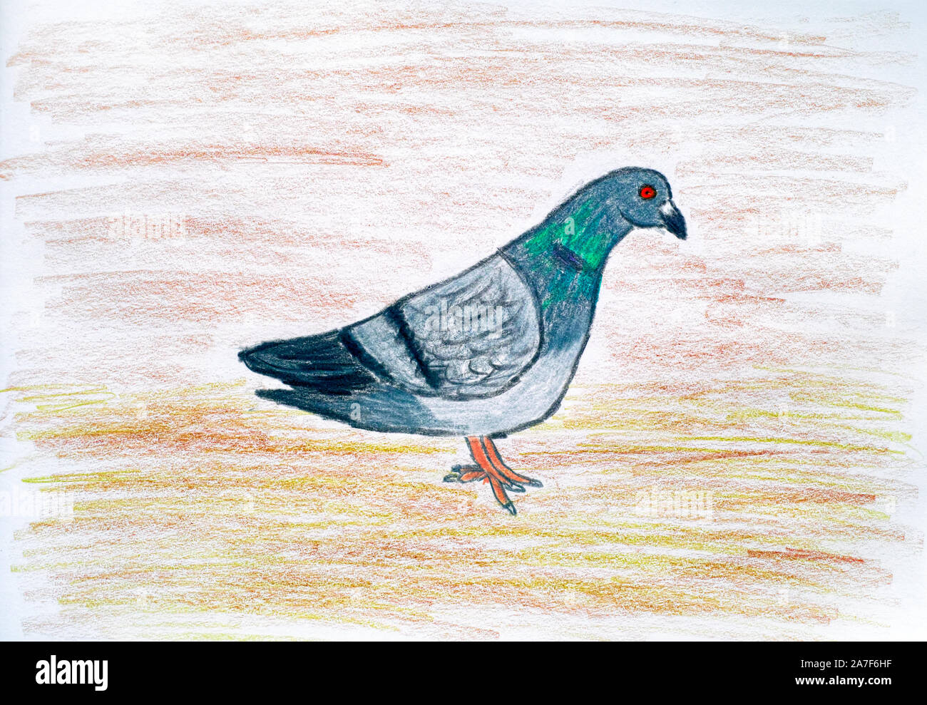 Taube. Bleistift Hand zeichnen. Close Up. Stockfoto