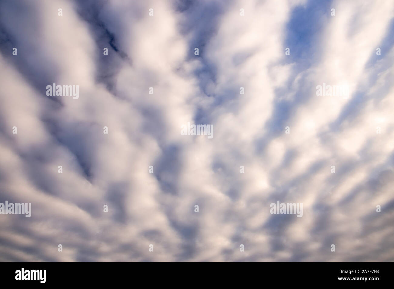 Stratocumulus Wolken bilden eine wellenförmige Muster in den Himmel Stockfoto