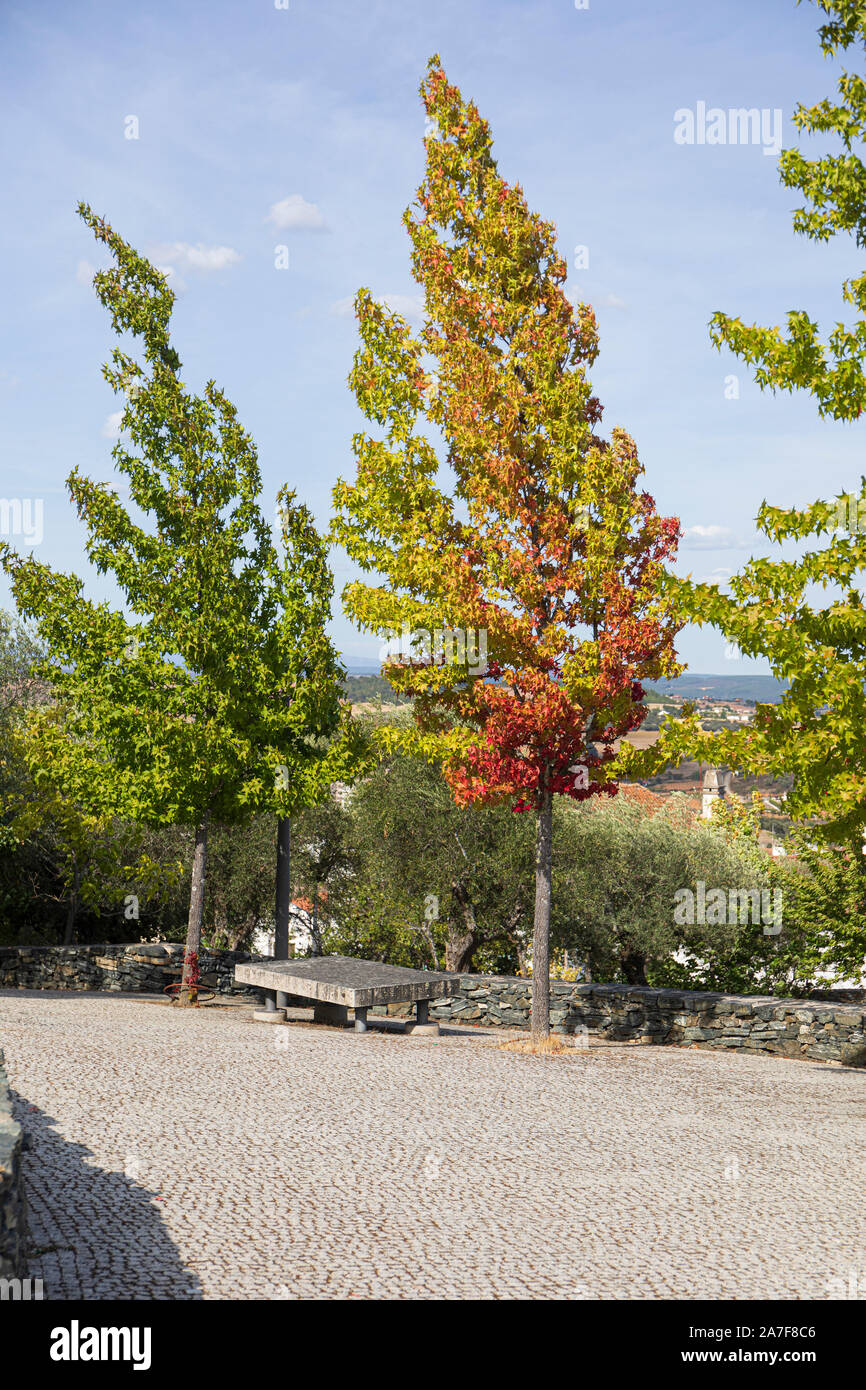 Bunte Bäume im Park unter Braganca schloss, Portugal Stockfoto