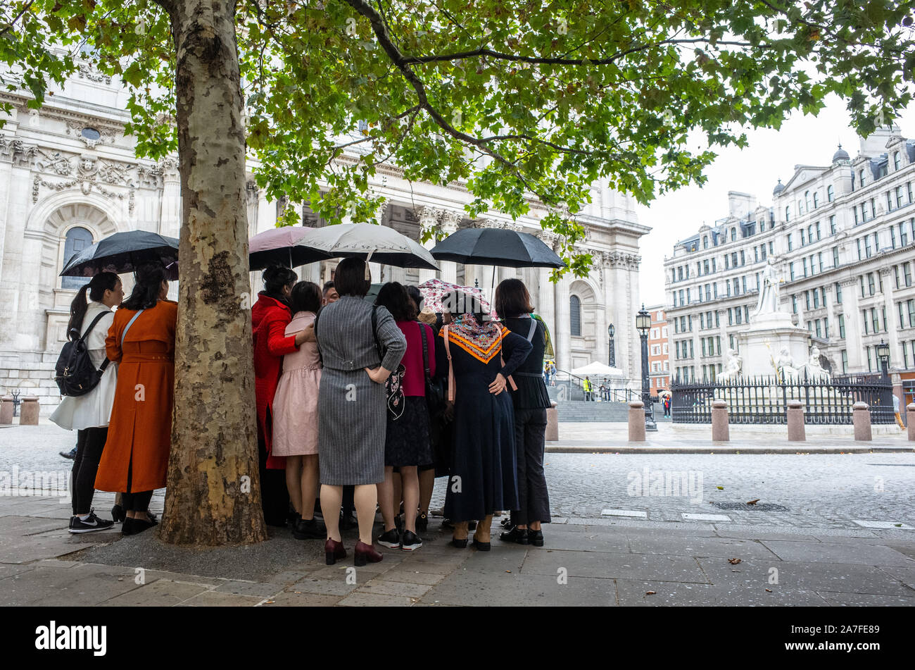 Eine chinesische Reisegruppe Hürde gemeinsam außerhalb die St Paul's Kathedrale in einer Regendusche, London UK Stockfoto