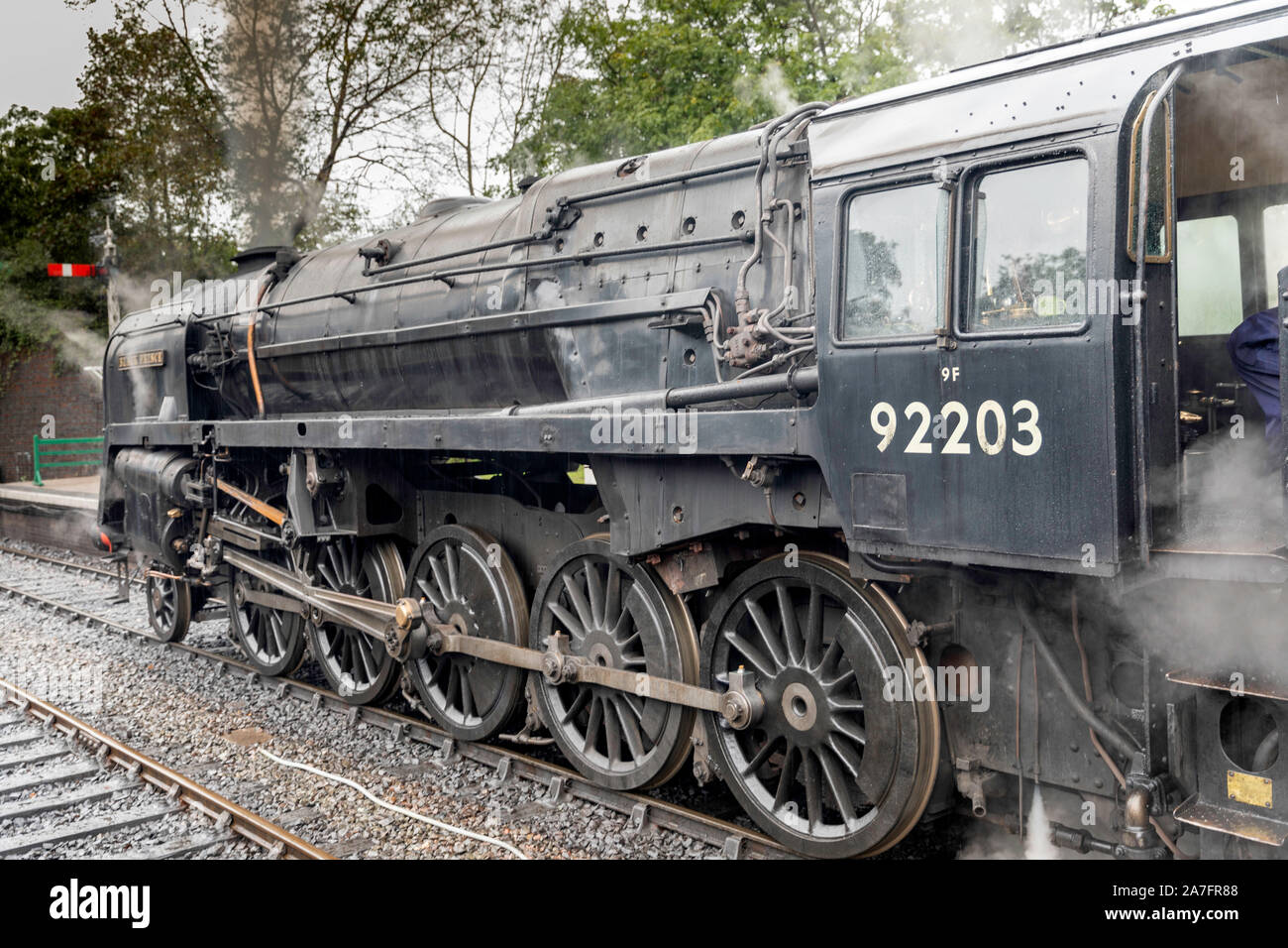 Der Mohn Linie Stockfoto