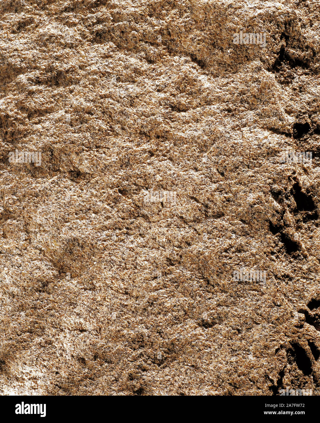 Immer noch leben. Rauer Stein Oberfläche. Granit. Stockfoto