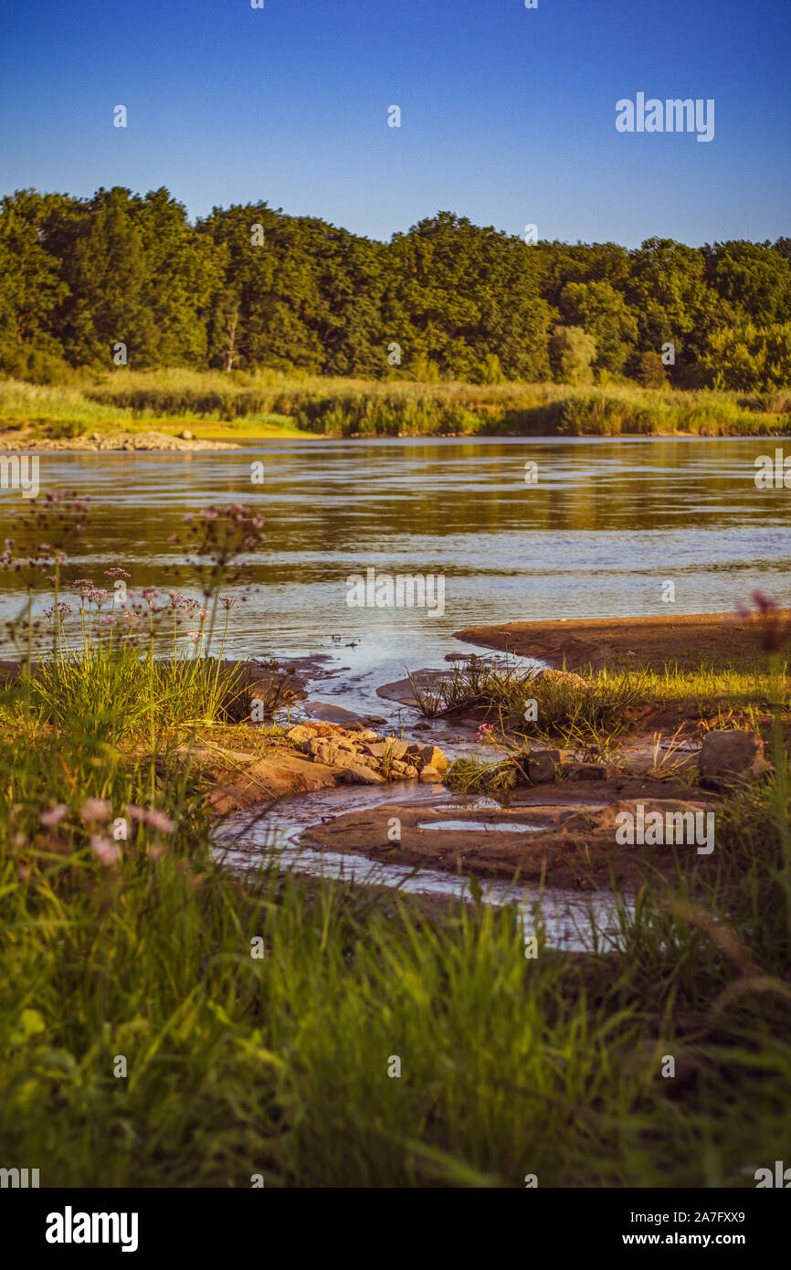 Schöne Aussicht mit einer kleinen Quelle auf der Oder mit einem schönen Sommer verschwommenen Hintergrund.; Stockfoto