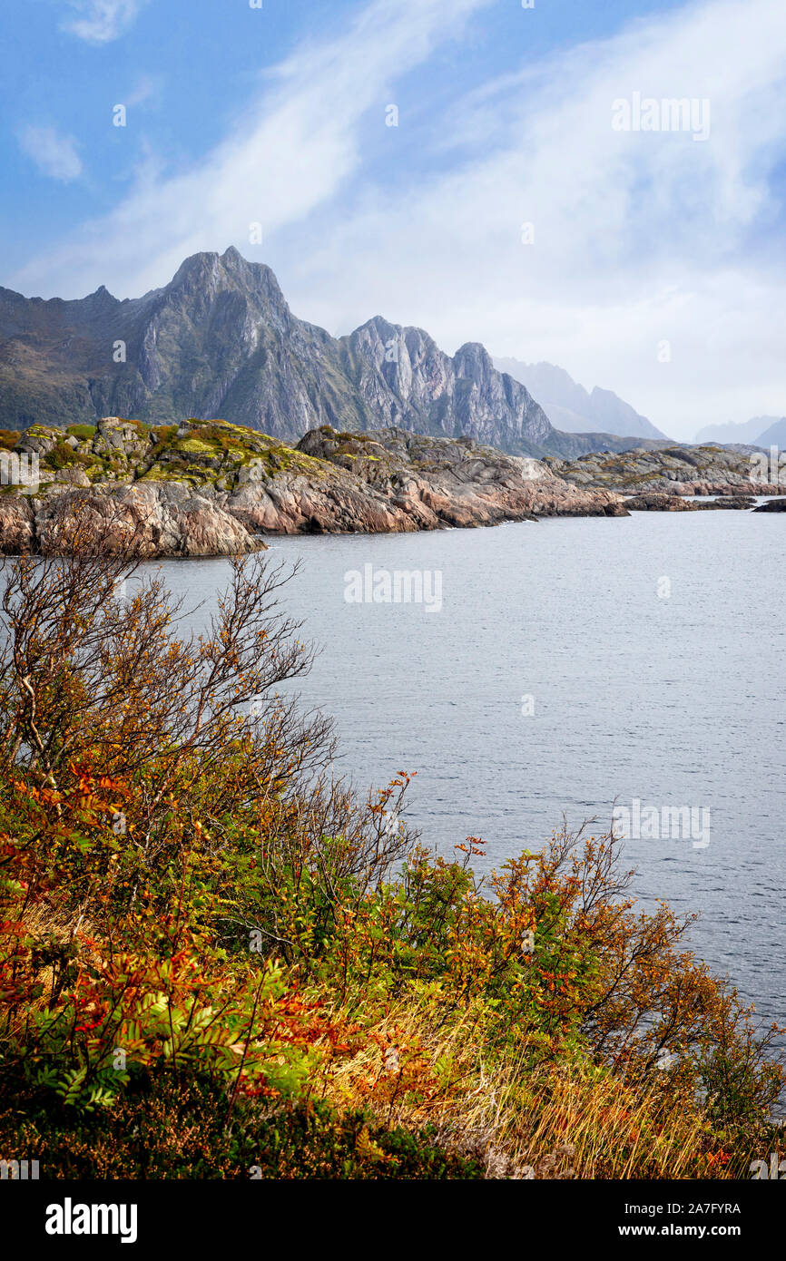 Herbstfarben die Küste von Austvagoya, Norwegen. Stockfoto