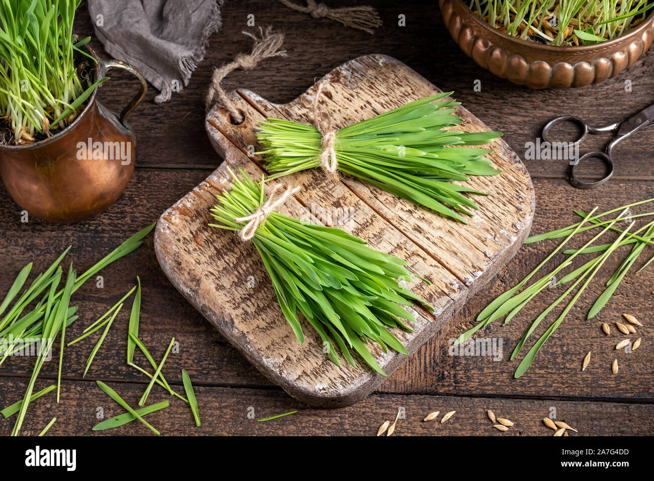 Zwei Bündel von frischen Gerste Gras auf einer Tabelle Stockfoto