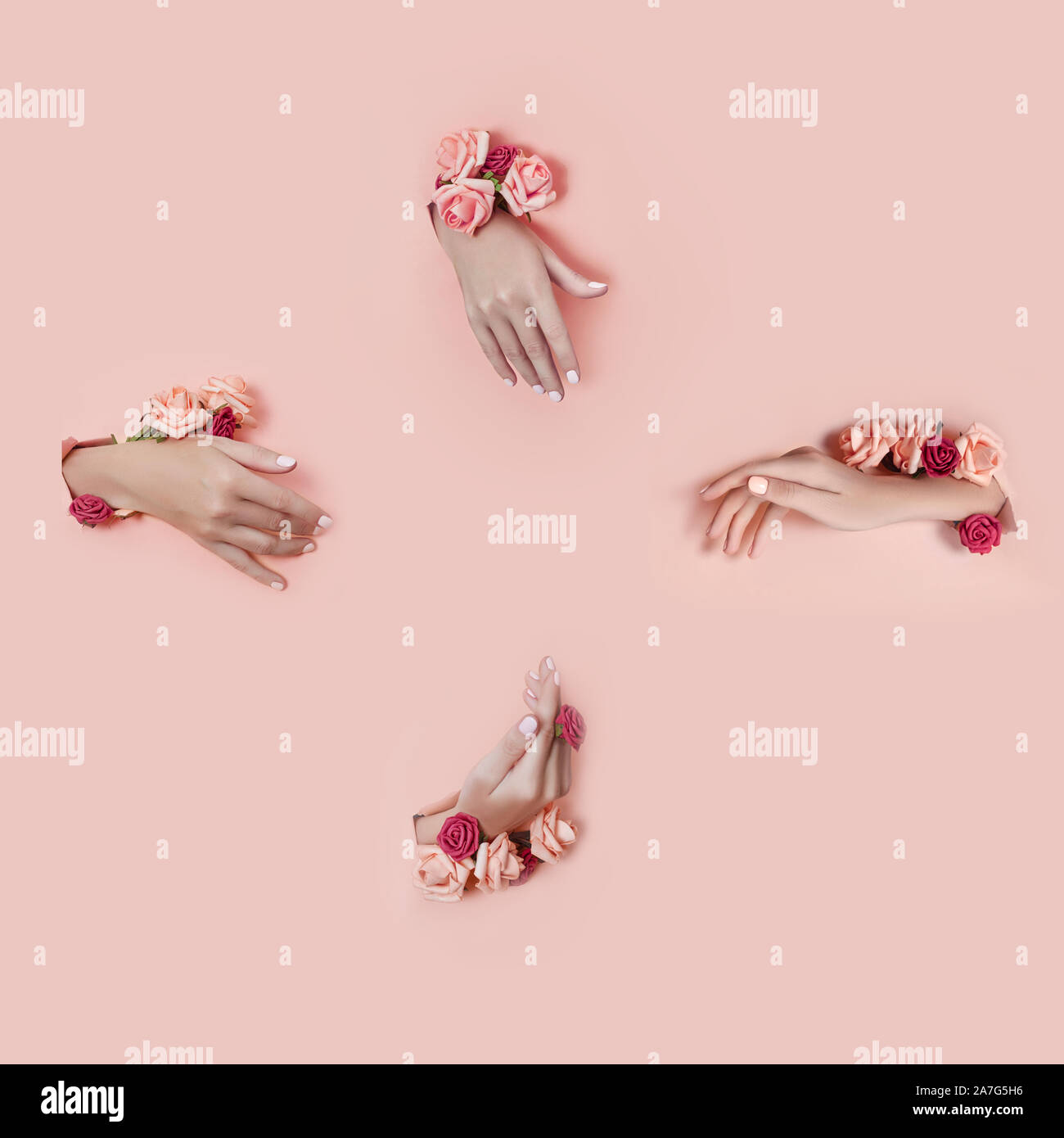 Legen Sie die Hände mit künstlichen Blumen aus Loch rosa Papier Hintergrund. Hand in verschiedenen Posen, das Muster layout für Ihre Collage. Kosmetik ha Stockfoto