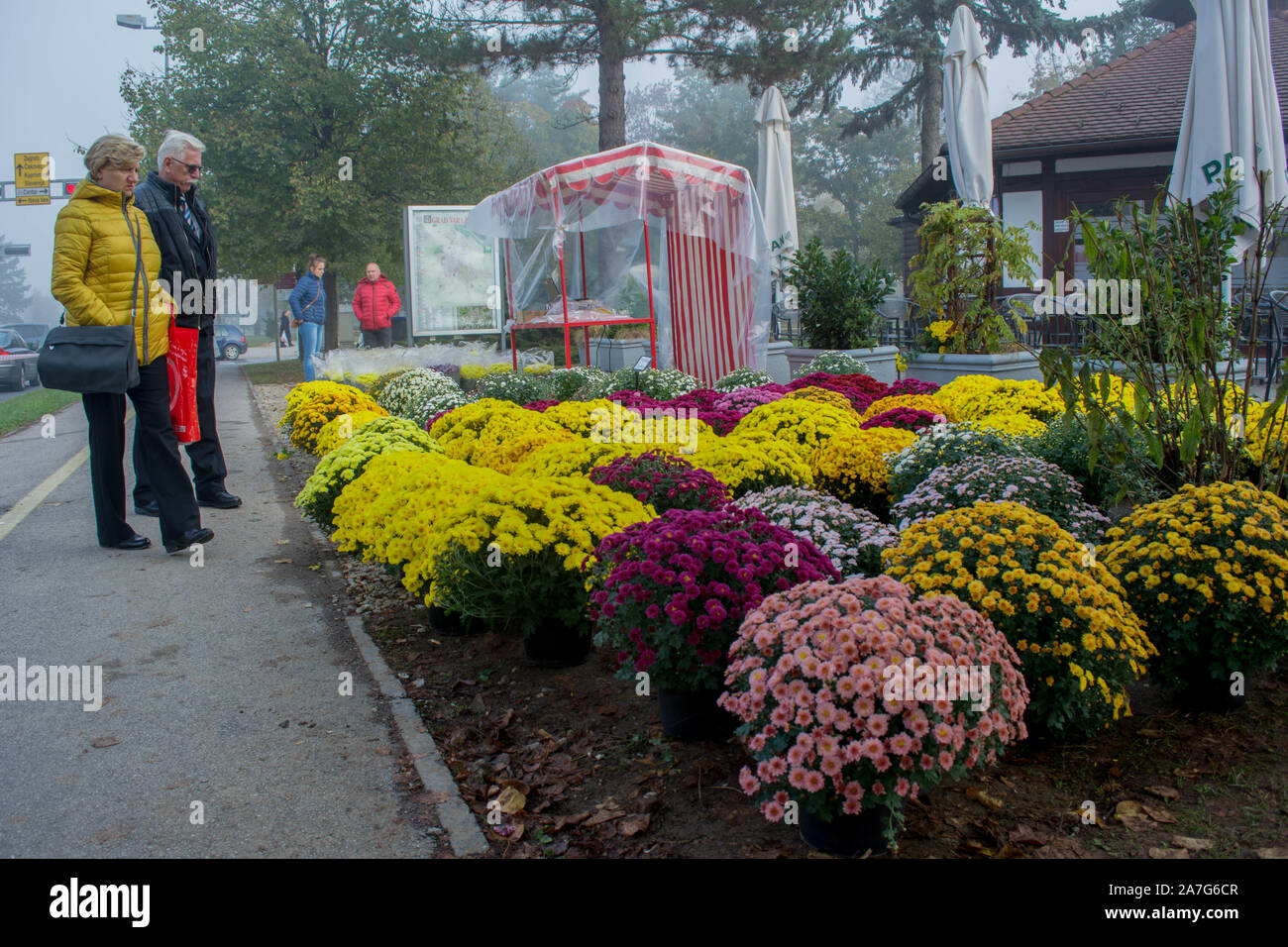 Varaždin Friedhof, Allerheiligen Stockfoto