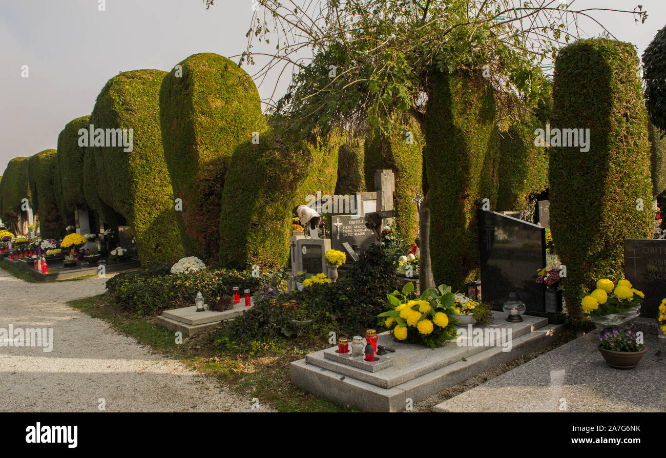 Varaždin Friedhof, Allerheiligen Stockfoto