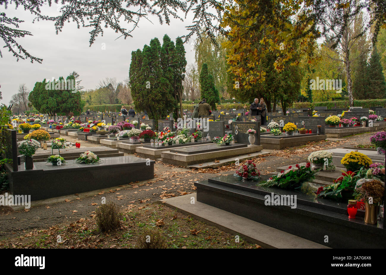 Mirosevac, Zagreb Friedhof, Allerheiligen Stockfoto