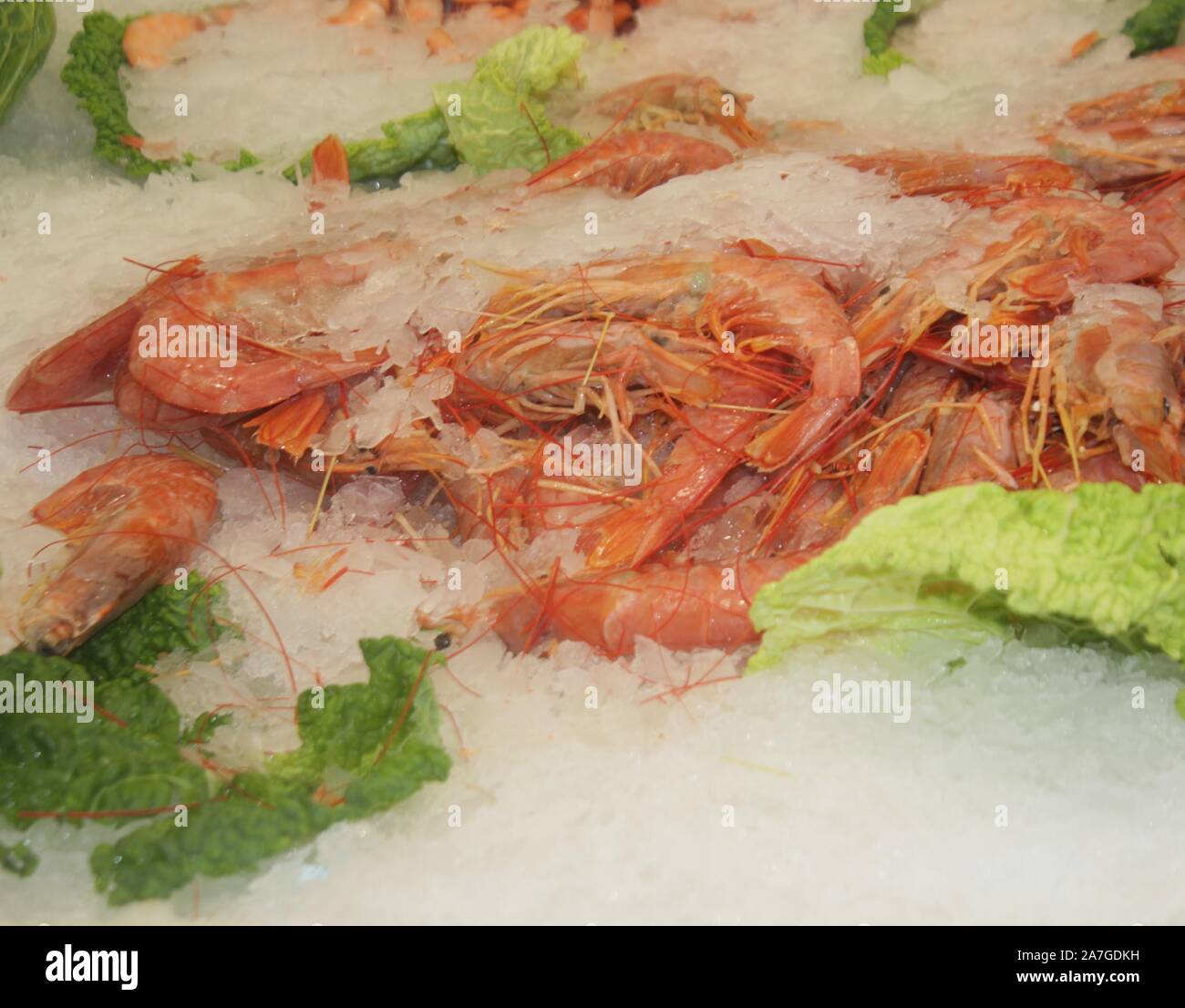 Frische italienische Meer Fisch mit Eis Hintergrundbild Stockfoto