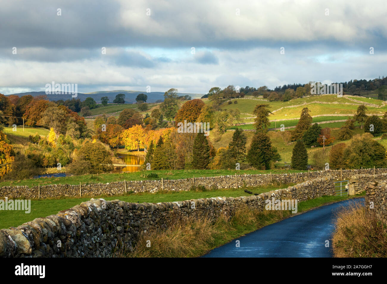 Britische Landschaft: Herbst Farben in den Yorkshire Dales, Hebden, North Yorkshire Stockfoto
