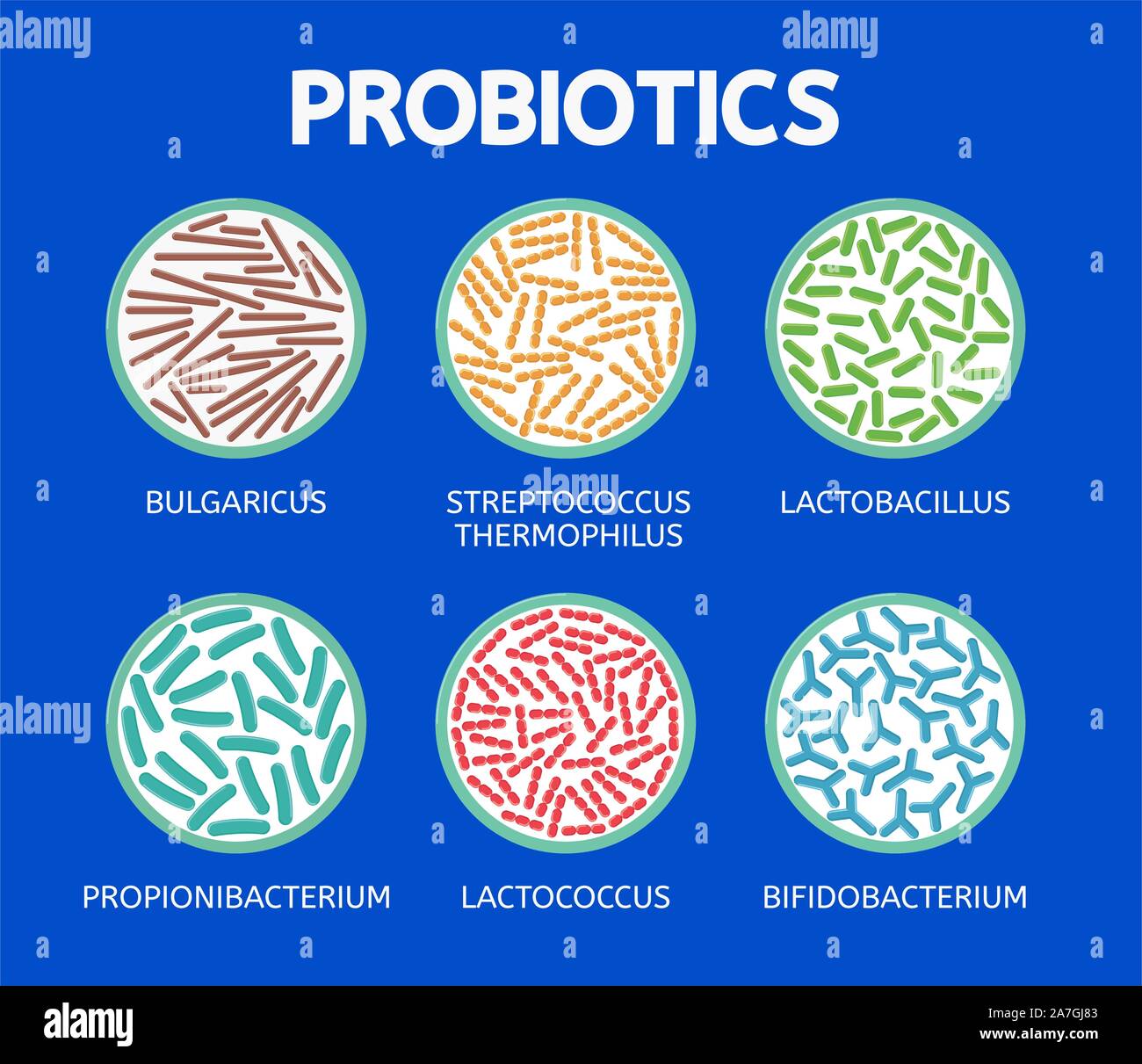 Vektor abstrakte Bakteriologie Symbole auf dem blauen Hintergrund isoliert. bulgaricus und Streptococcus thermophilus, Lactobacillus, propionibacterium, lactococcus Stock Vektor