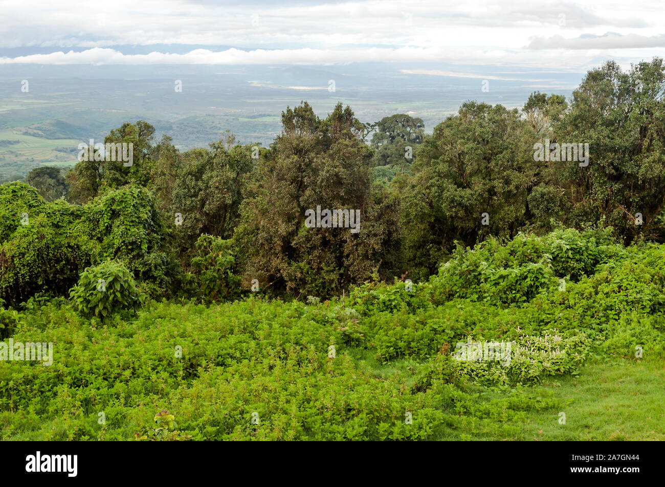 Berge in Tansania im ngorogoro Tal Stockfoto