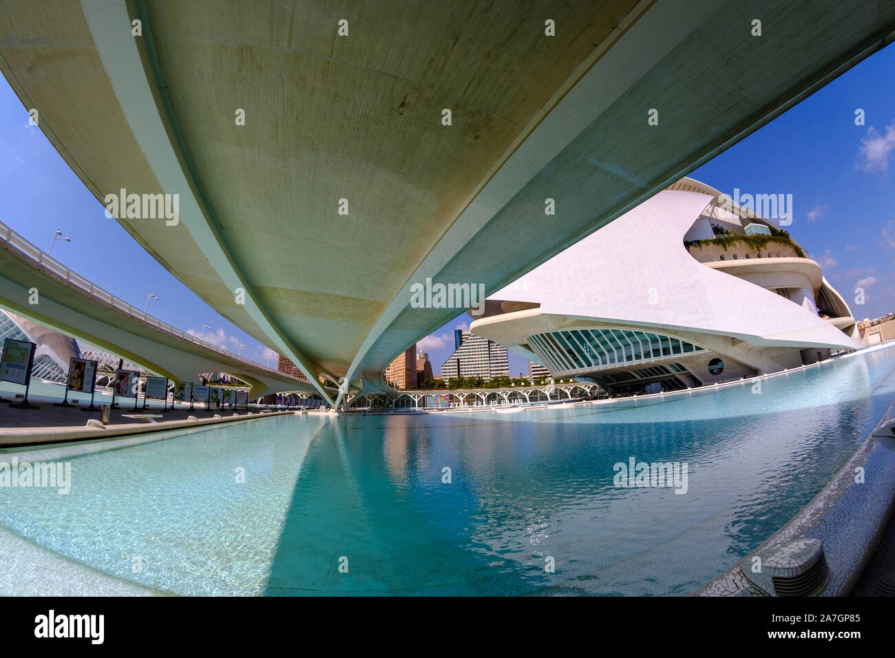 El Palau de les Arts Reina Sofia, der von dem Architekten Santiago Calatrava, der Stadt der Künste und Wissenschaften in Valencia, Spanien (Fischaugenobjektiv) Stockfoto