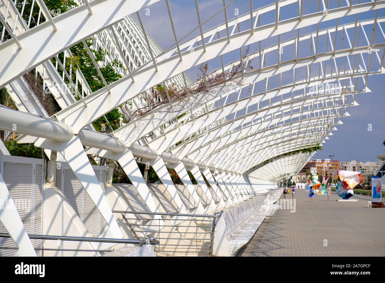 Museo de las Ciencias Príncipe Felipe (Science Museum Prinz Felipe), in der Stadt der Künste und Wissenschaften in Valencia, Spanien Stockfoto Museo de las Ciencias Príncipe Felipe (Science Museum Prinz Felipe), in der Stadt der Künste und Wissenschaften in Valencia, Spanien Stockfoto