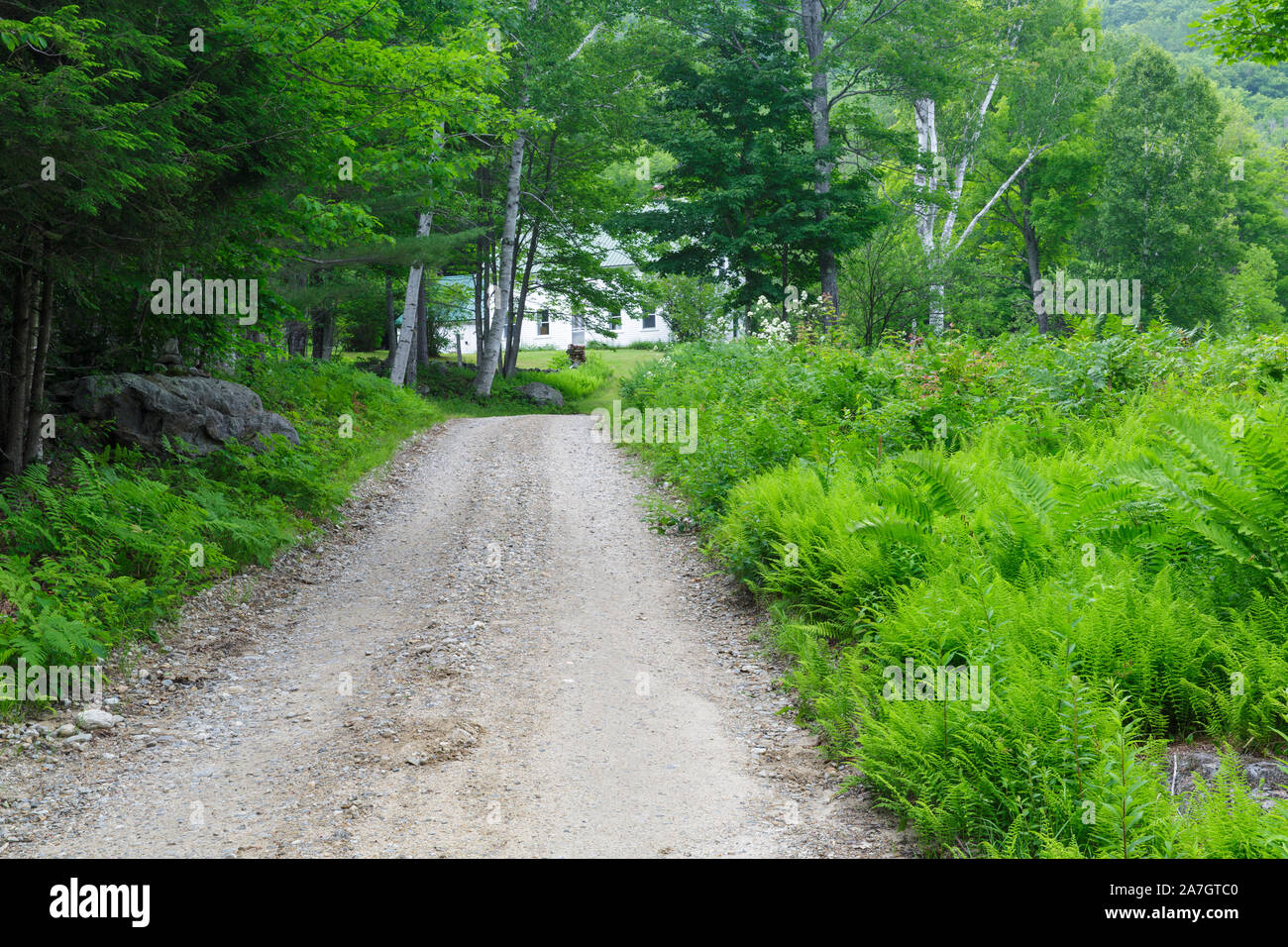 Die Halle auf Sandwich Kerbe Straße in Sandwich, New Hampshire. Während des frühen neunzehnten Jahrhunderts, dreißig bis vierzig Familien waren Teil a Hill Farm Stockfoto