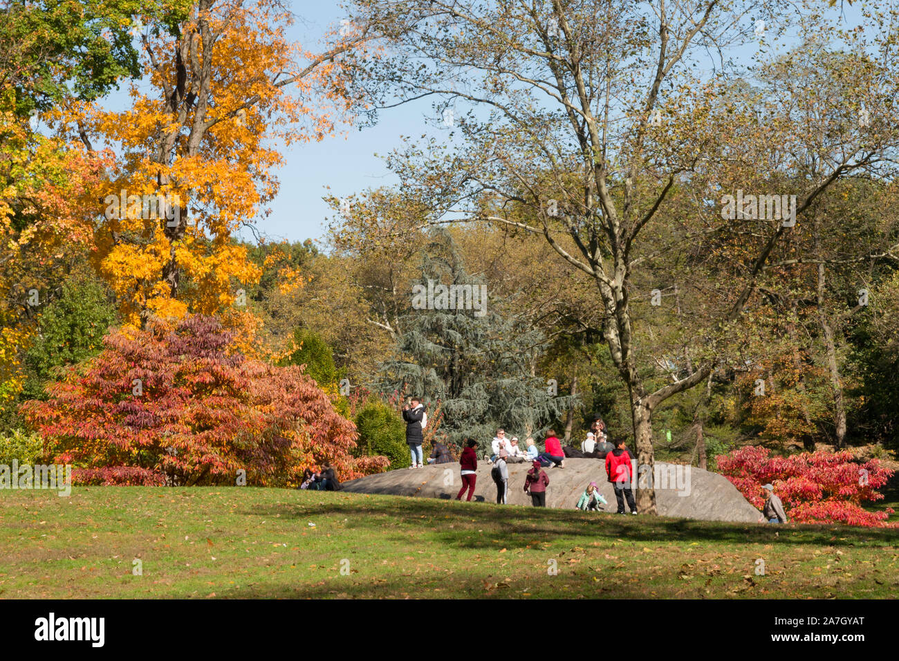 Der Central Park ist beliebt in der Herbstsaison, New York City, USA Stockfoto
