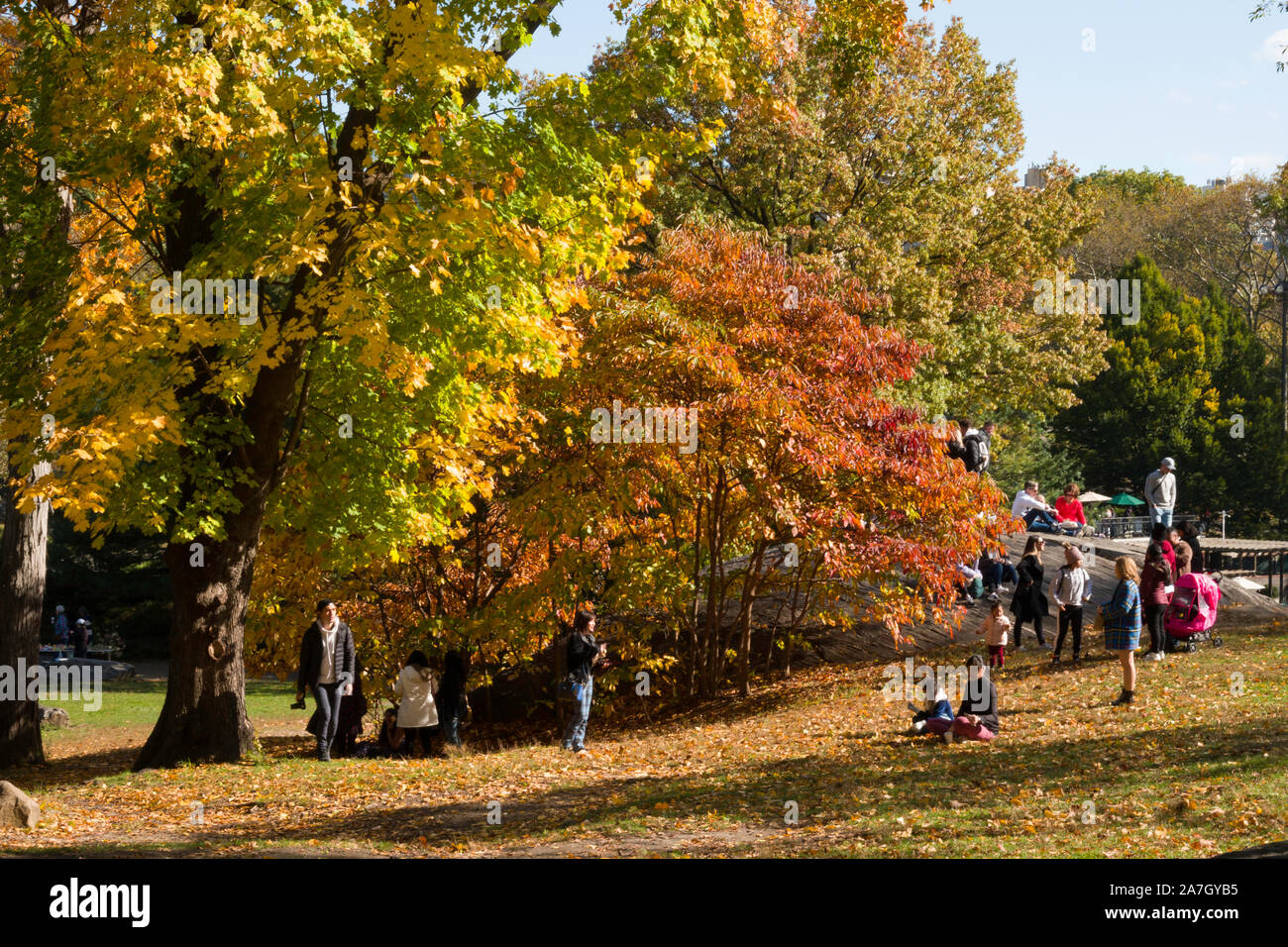 Der Central Park ist beliebt in der Herbstsaison, New York City, USA Stockfoto