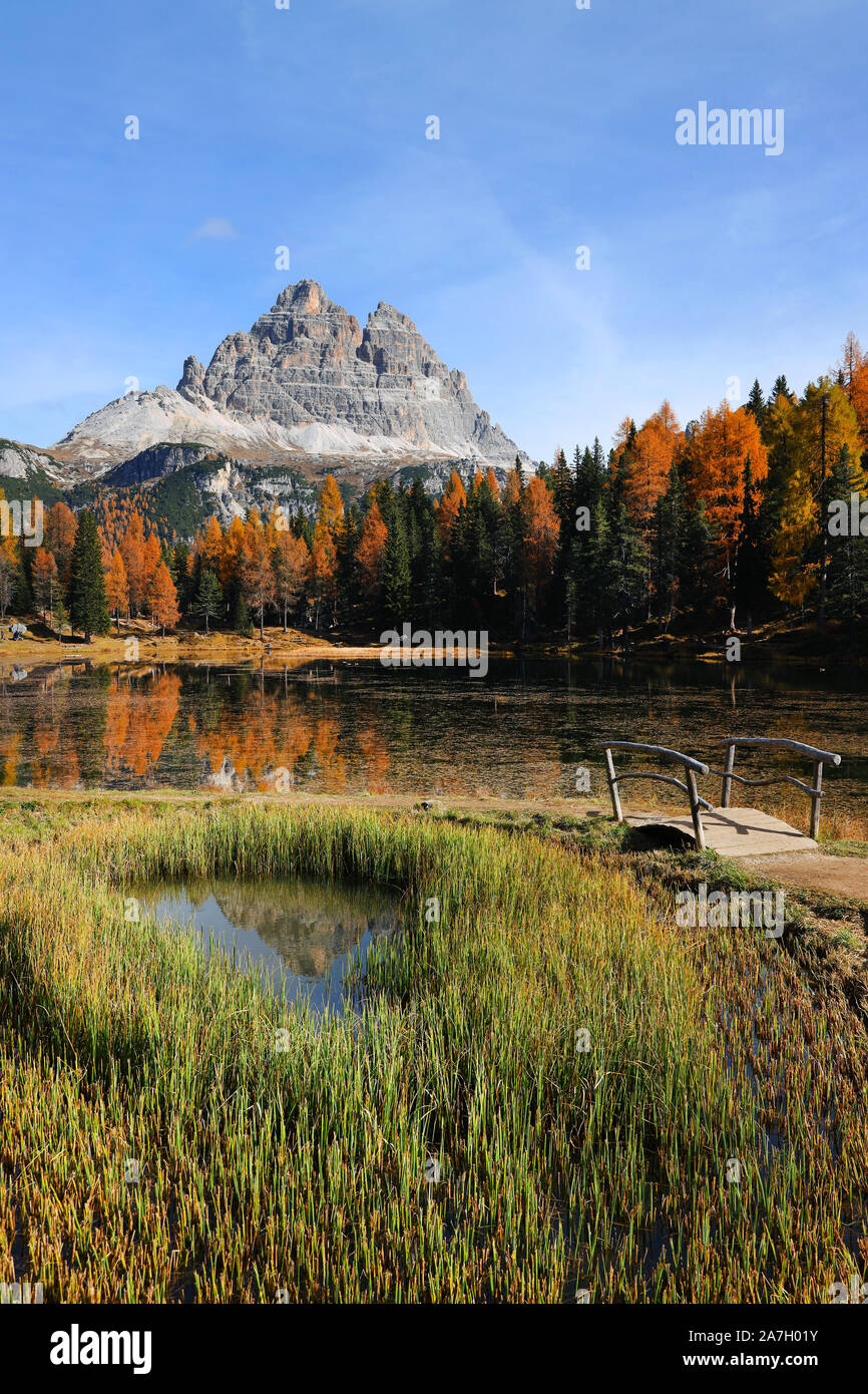 Herbstlandschaft in den Dolomiten, Italien, Europa Stockfoto