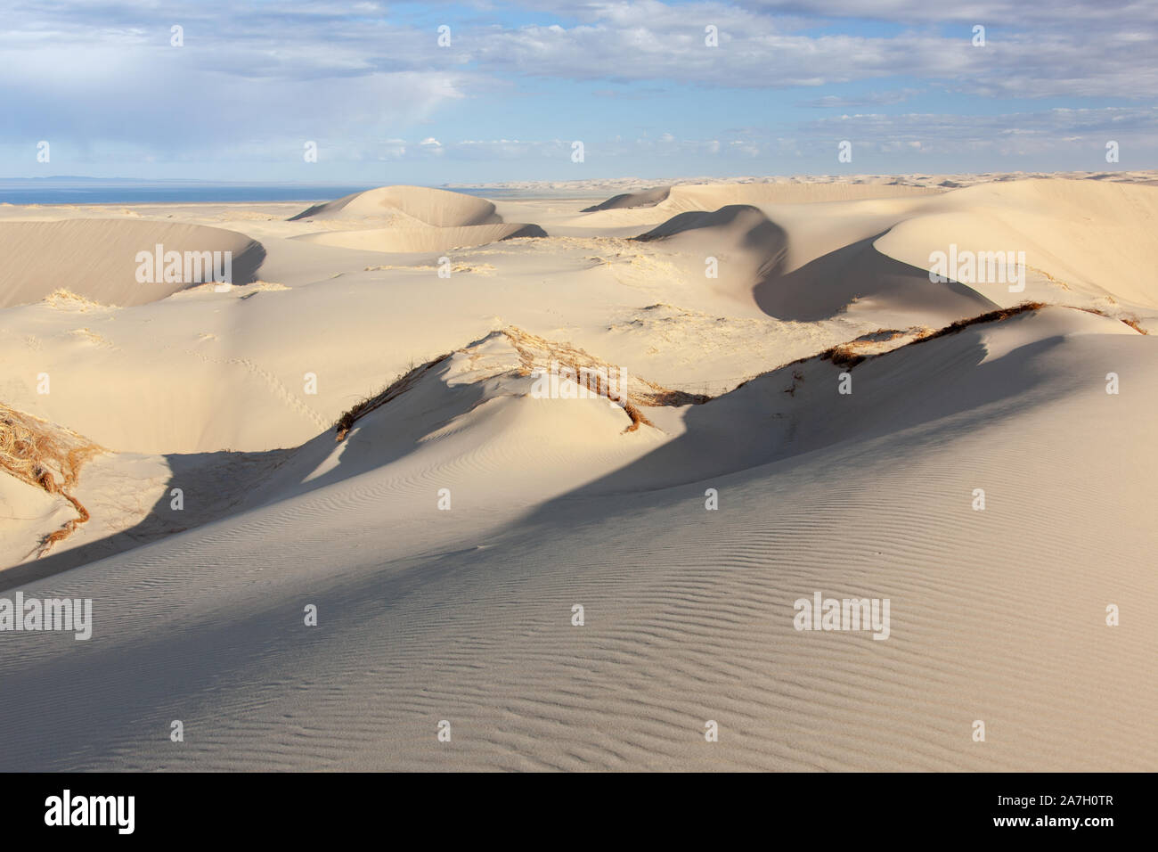 Sanddünen der Wüste Gobi singen Stockfoto