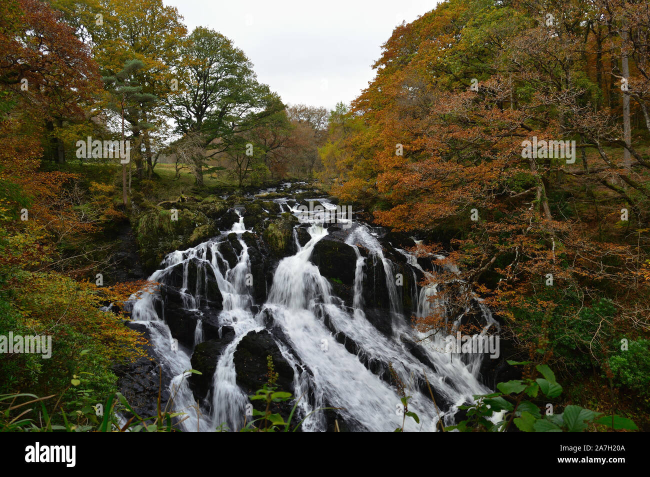 Swallow Falls, Betws-y-Coed, Nord Wales Snowdonia, UK - Oktober 2019: herbstliche Bäume und Wasserfälle in walisischen Berge. Stockfoto