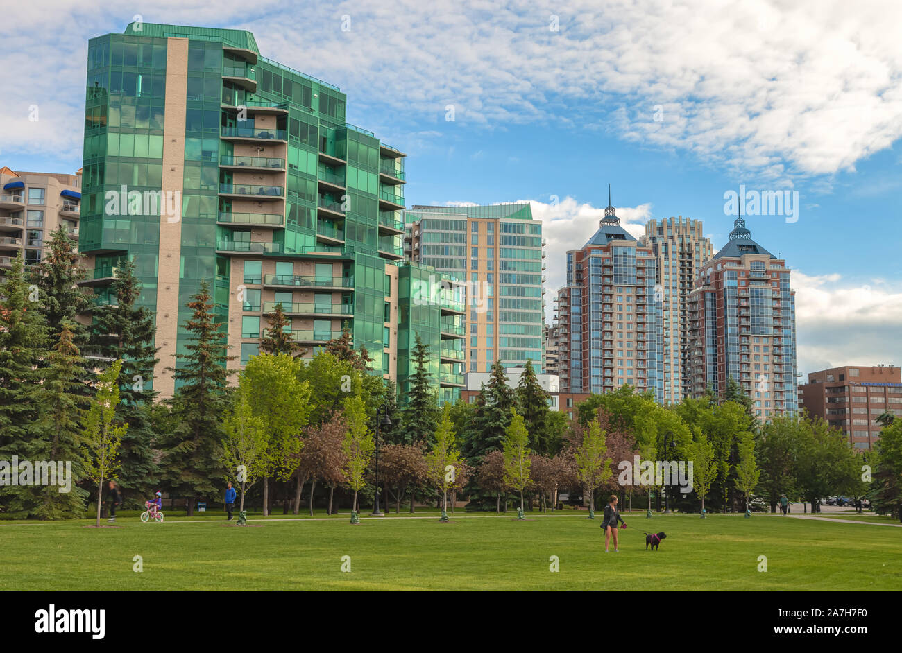 Blick auf die Innenstadt von Calgary vom Prince's Island Park, Alberta, Kanada. Stockfoto