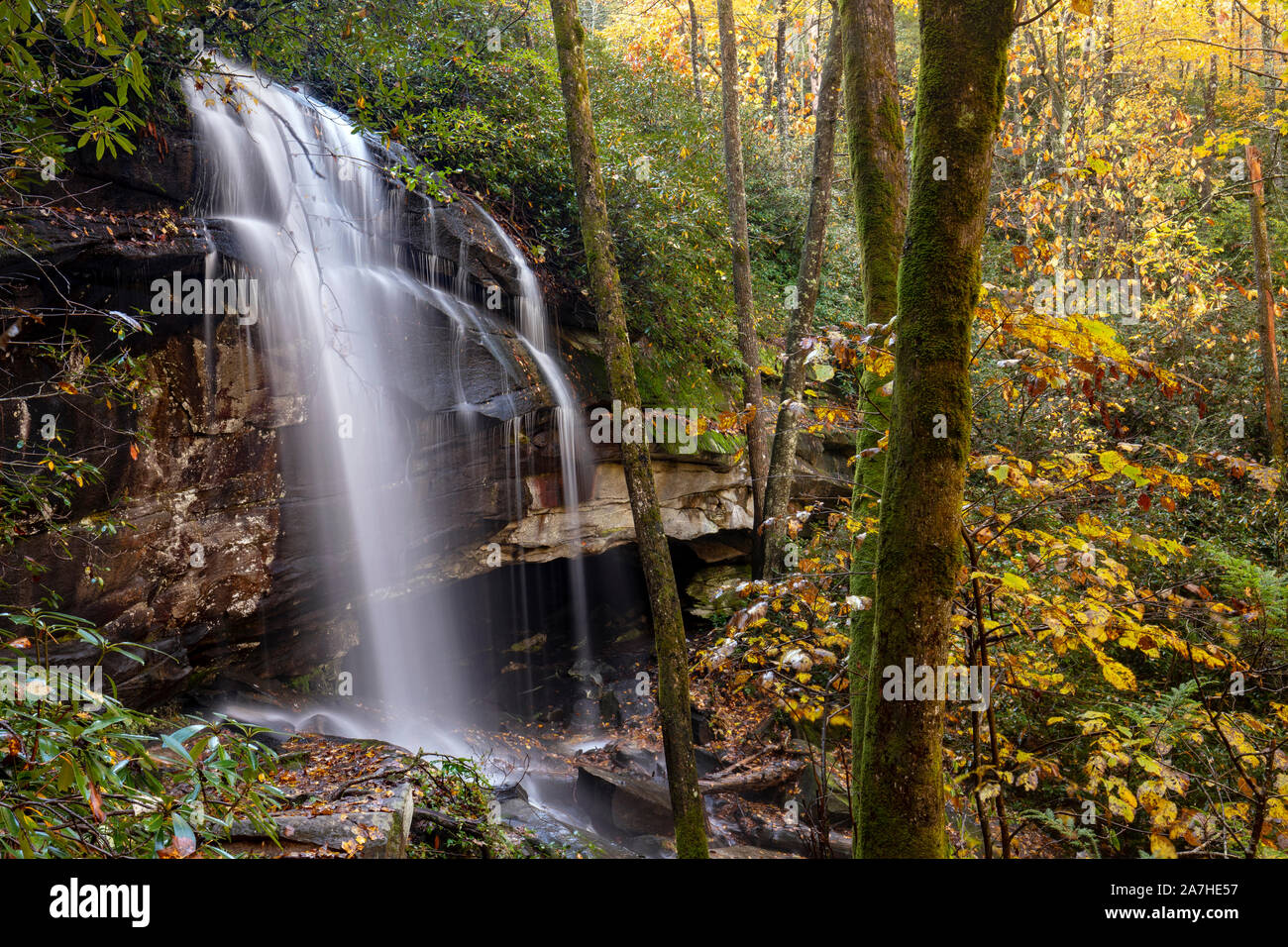 Slick Rock fällt im Herbst - Pisgah National Forest, Brevard, North Carolina, USA Stockfoto