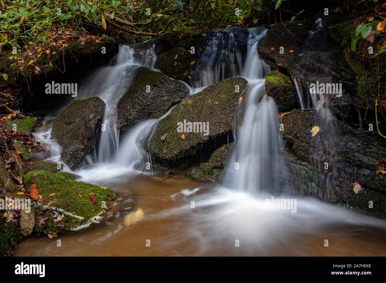 Kleiner Wasserfall auf Sycamore Cove Trail, Pisgah National Forest, Brevard, North Carolina, USA Stockfoto