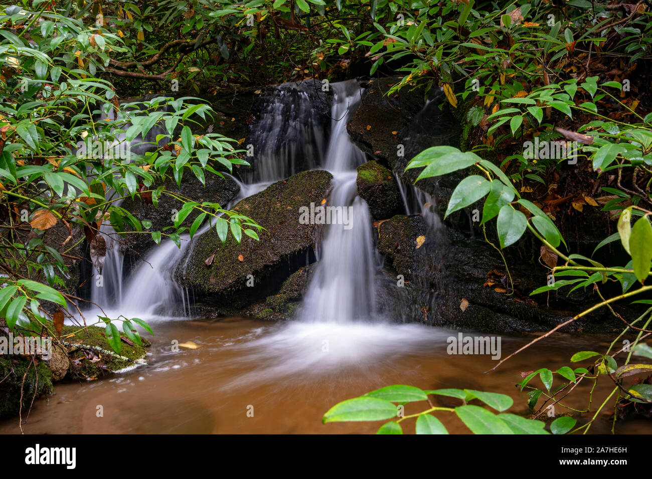Kleiner Wasserfall auf Sycamore Cove Trail, Pisgah National Forest, Brevard, North Carolina, USA Stockfoto