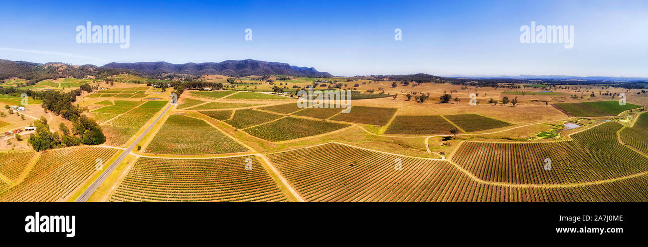 Mountain Range um Pokolbin im Hunter Valley von Australien - Wein Farmen mit kultivierten Landwirtschaft Felder der wachsenden Weinberge in erhöhten a Stockfoto