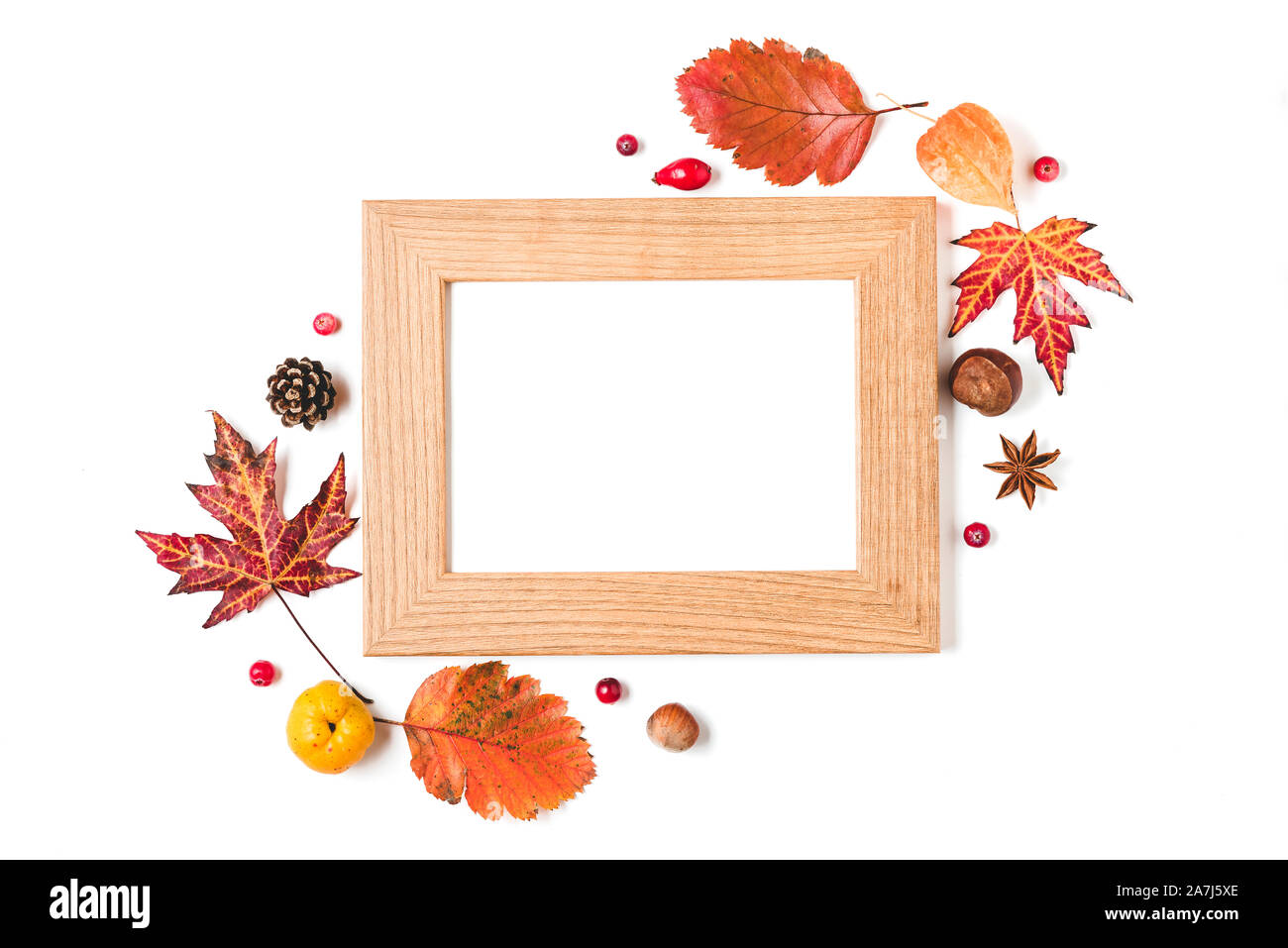 Leeren Bilderrahmen mit Quitte, Herbst Blätter, Nüsse und Beeren auf weißem Hintergrund. Thanksgiving Day Konzept. Flach. top View Stockfoto