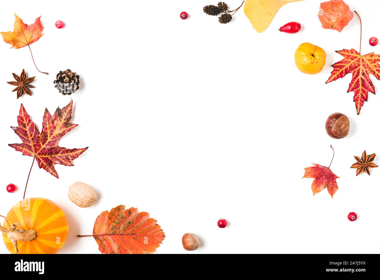 Herbst Komposition. Herbstlaub, Kürbisse, Blumen, Beeren, Nüsse isoliert auf weißem Hintergrund. Herbst, Halloween, Thanksgiving Day Konzept. Flach Stockfoto