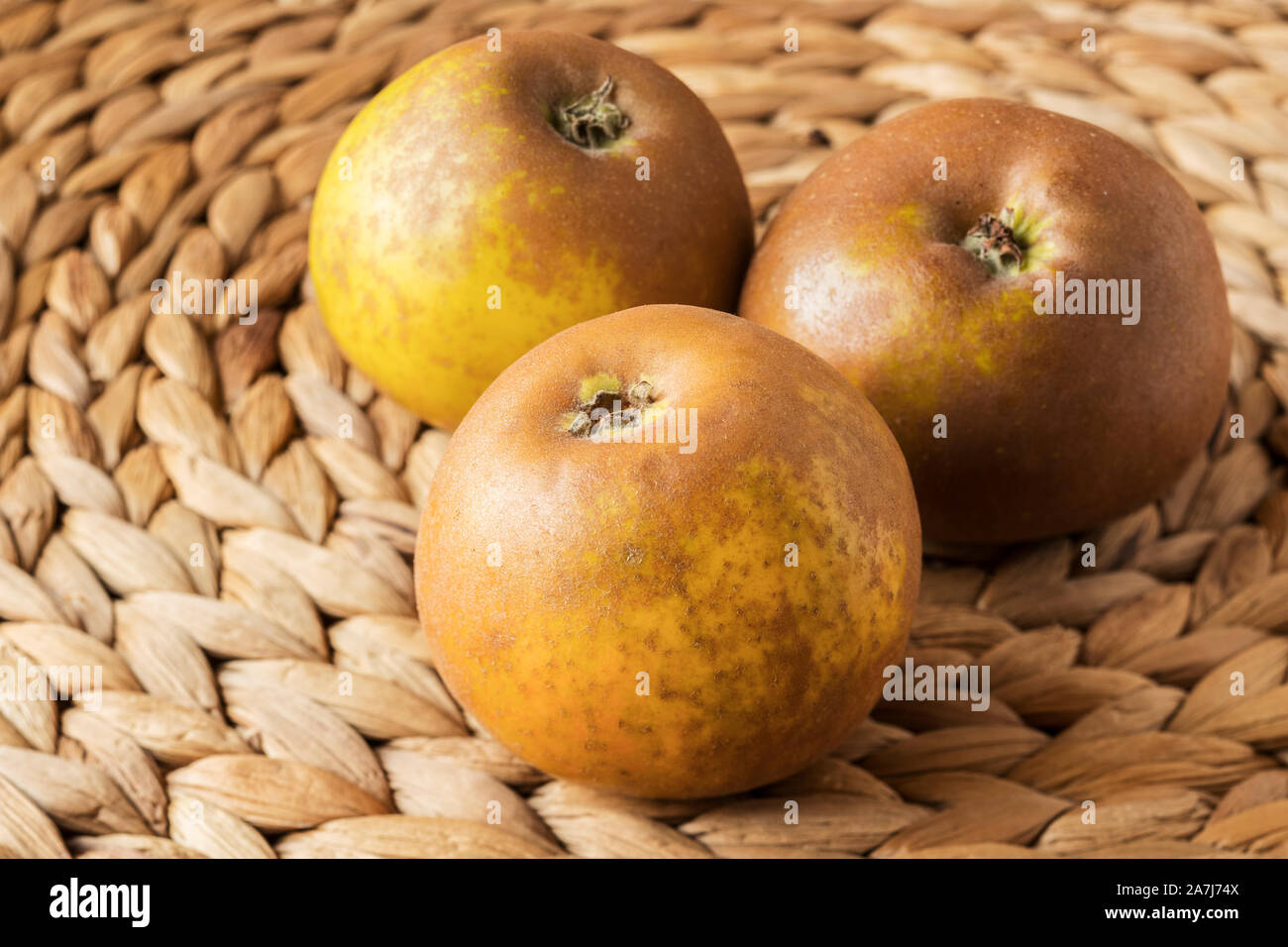 Drei egremont rotbraun Äpfel auf einem Bananenblatt Matte, in natürlichem Licht. Stockfoto