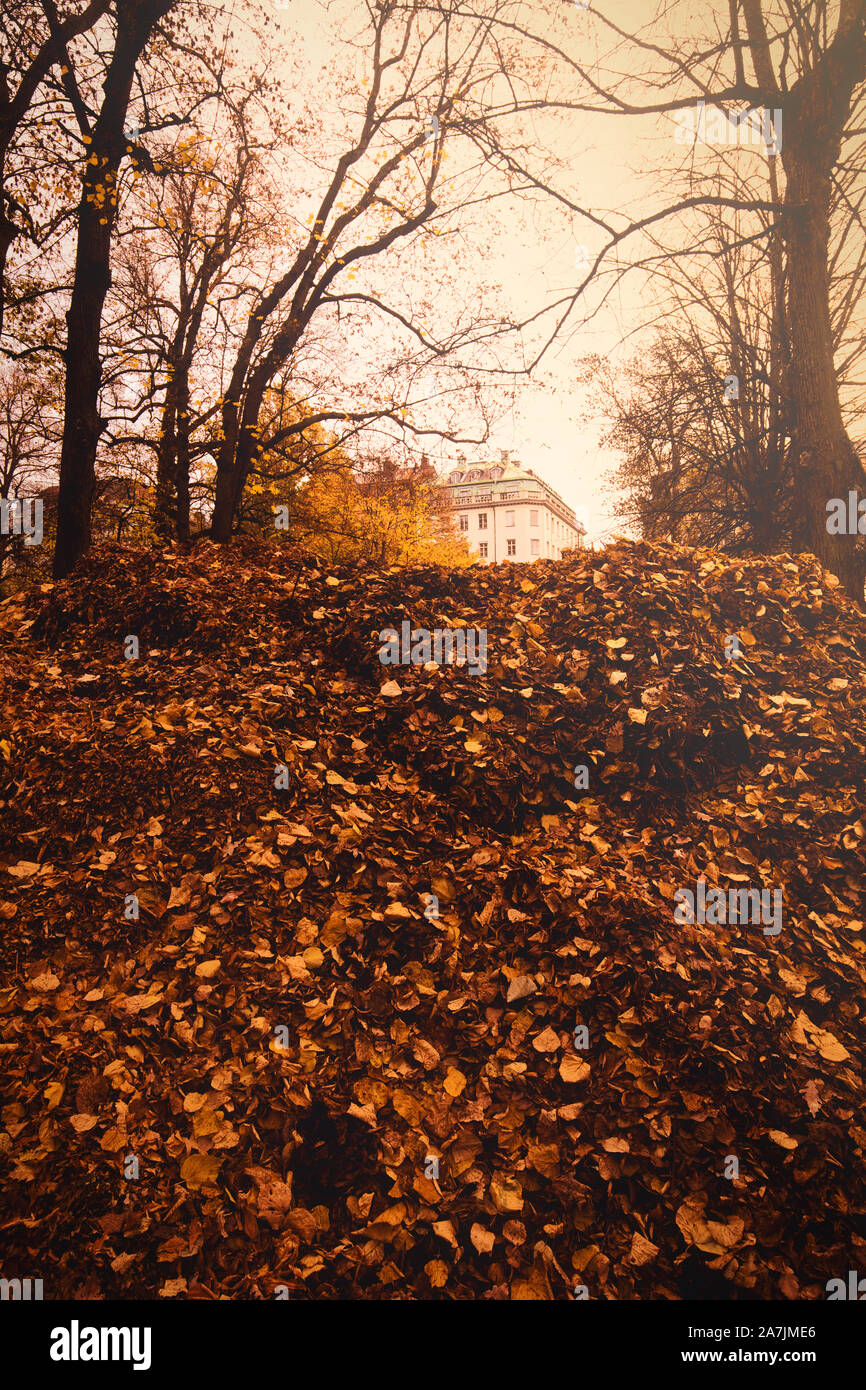 Haus heraus lugen von der Oberseite des riesigen Haufen von Herbstlaub, Humlegarden, Stockholm, Schweden Stockfoto