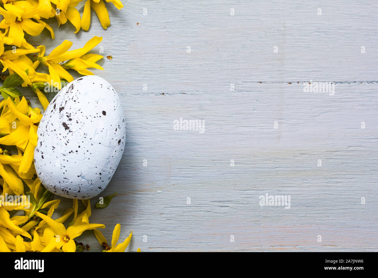 Ostereier und Blumen auf ble Holz- Hintergrund. Stockfoto
