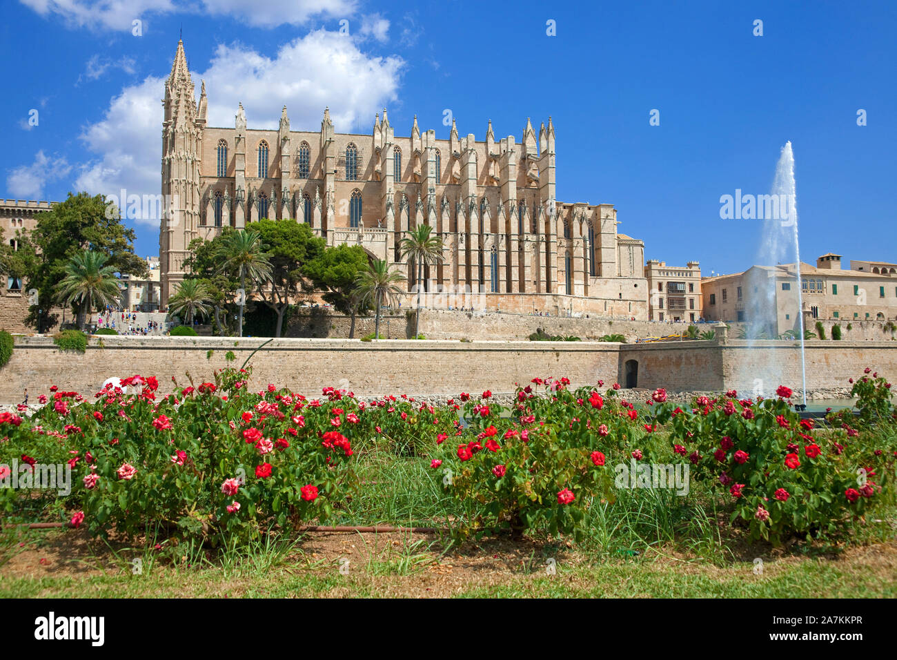 Die Kathedrale La Seu, Wahrzeichen von Palma, Palma de Mallorca, Mallorca, Balearen, Spanien Stockfoto