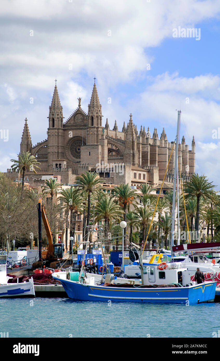 Fischerboote vor der Kathedrale La Seu, Hafen von Palma, Palma de Mallorca, Mallorca, Balearen, Spanien Stockfoto