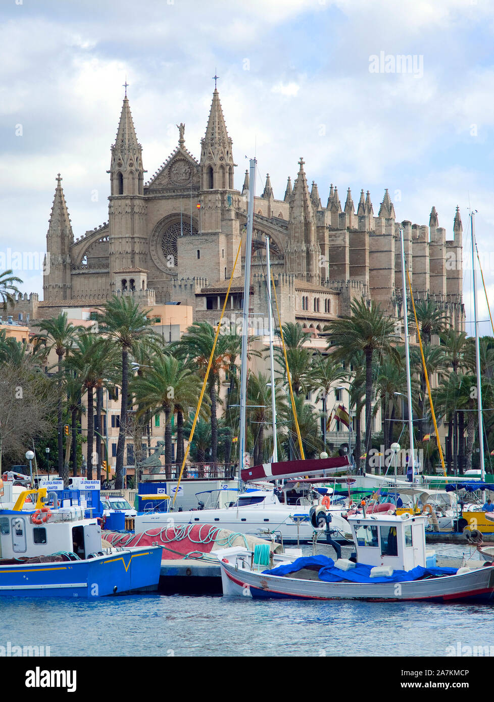 Fischerboote vor der Kathedrale La Seu, Hafen von Palma, Palma de Mallorca, Mallorca, Balearen, Spanien Stockfoto