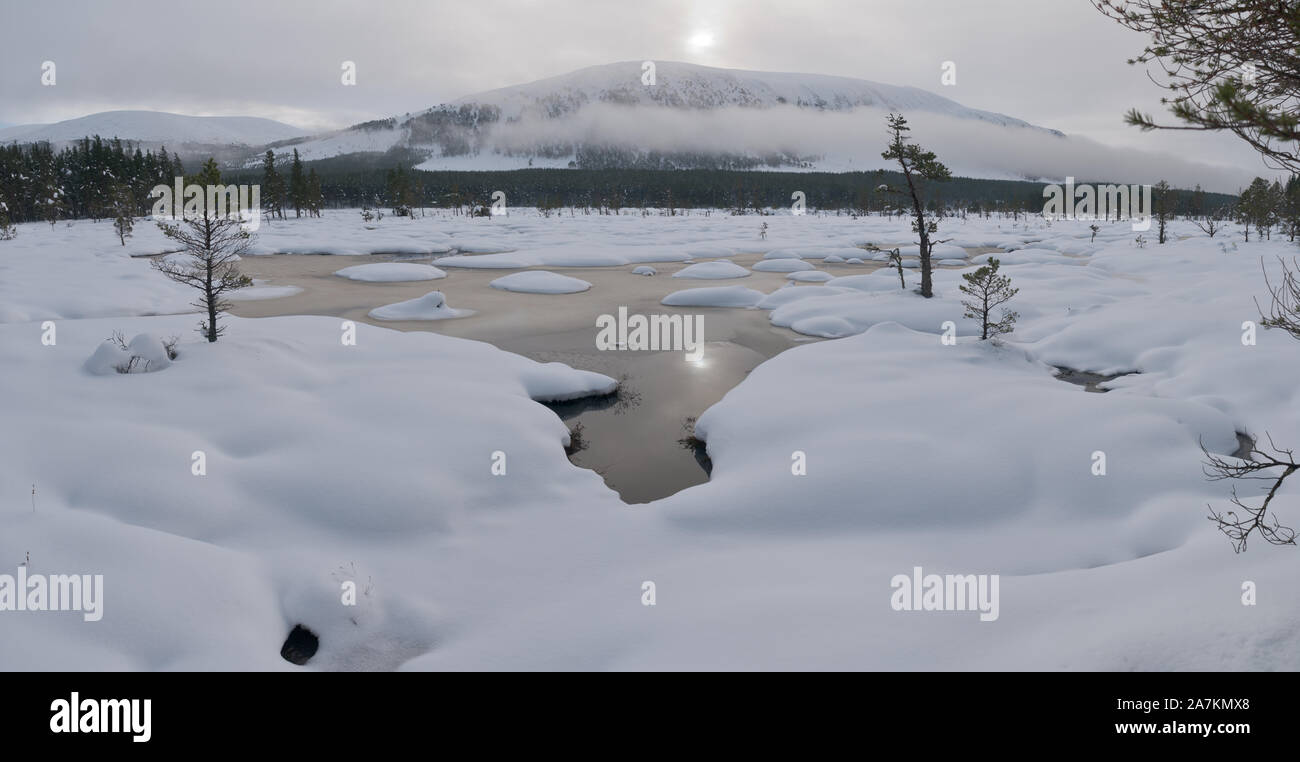Schnee bedeckt mit Cairngorm Mountains im Hintergrund, Schottland, UK Moor. Stockfoto