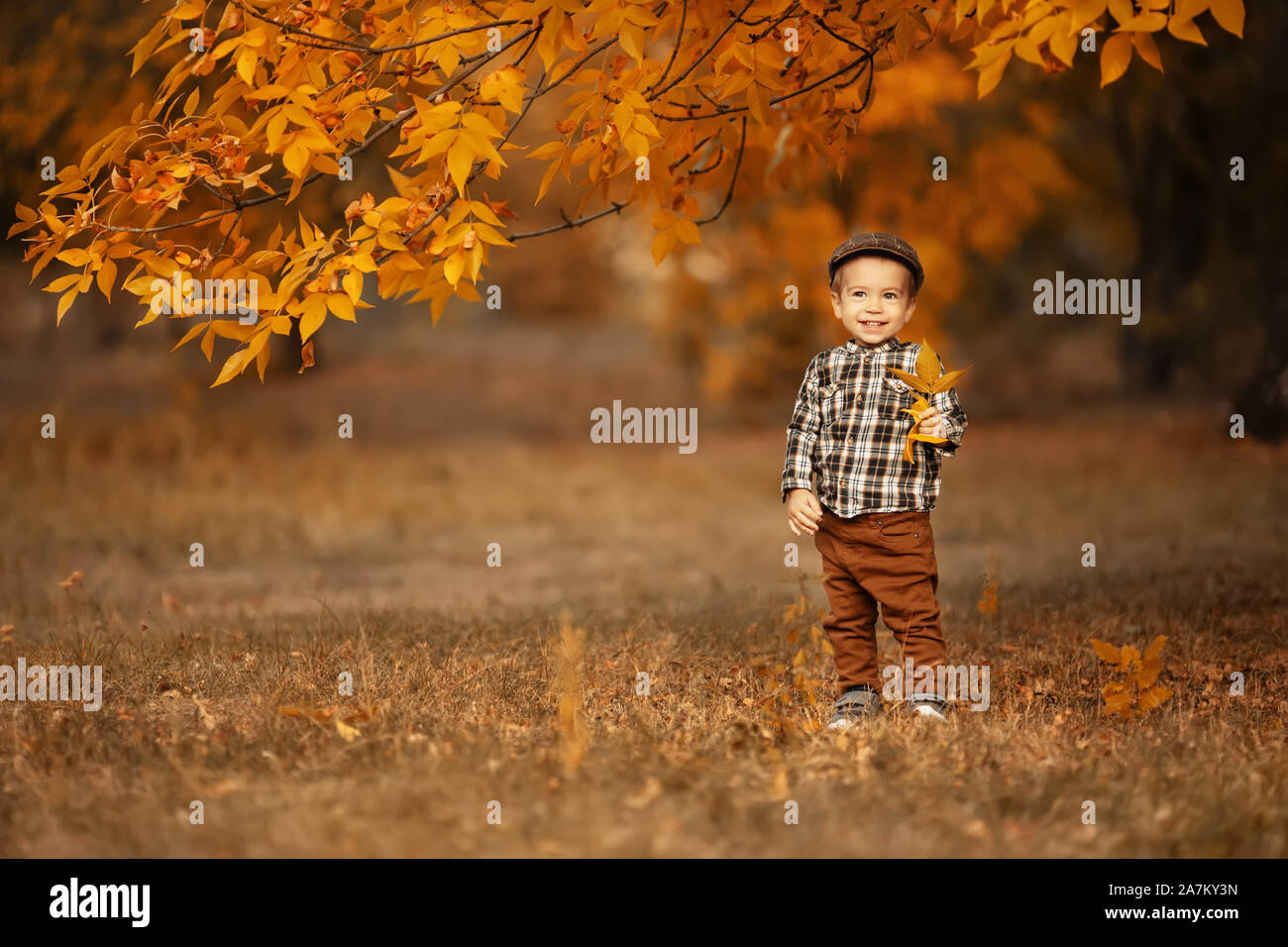 Herbst Portrait von Happy little boy Stockfoto