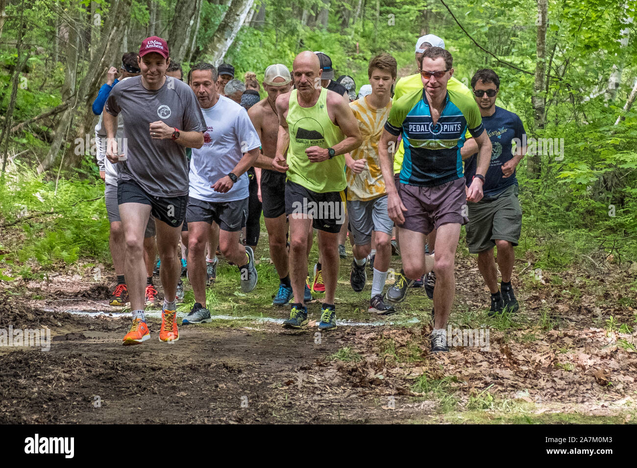Leute, die in einem Rennen auf einem Waldweg Stockfoto