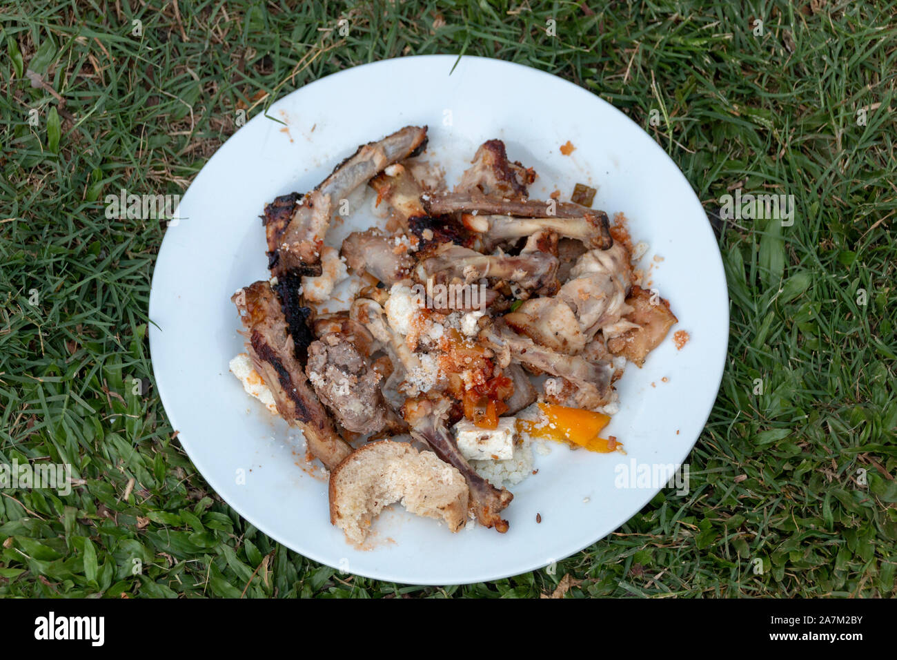 Eine Nahaufnahme der übrig gebliebene Huhn und Rippen, Knochen von einem guten alten Südafrikanischen Braai Stockfoto