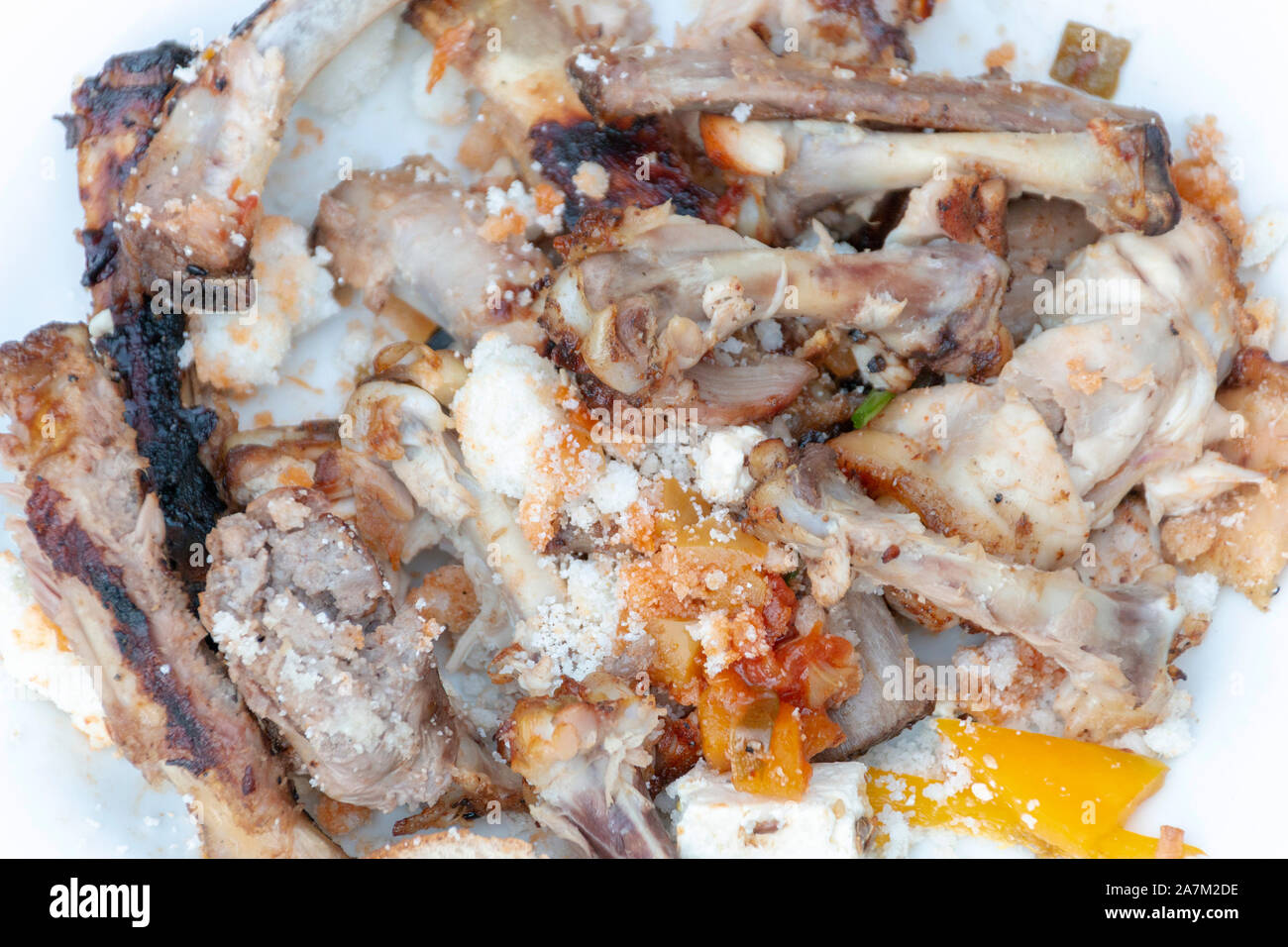 Eine Nahaufnahme der übrig gebliebene Huhn und Rippen, Knochen von einem guten alten Südafrikanischen Braai Stockfoto