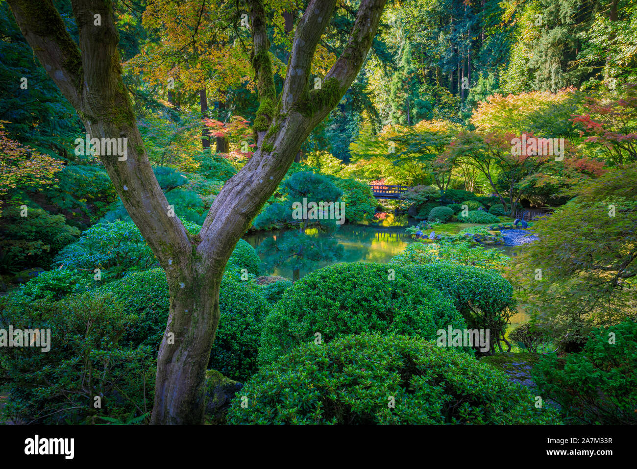 Der Portland Japanische Garten ist ein traditioneller japanischer Garten, 12 Hektar, in Washington Park im Westen Hügel von Portland, Oregon Stockfoto